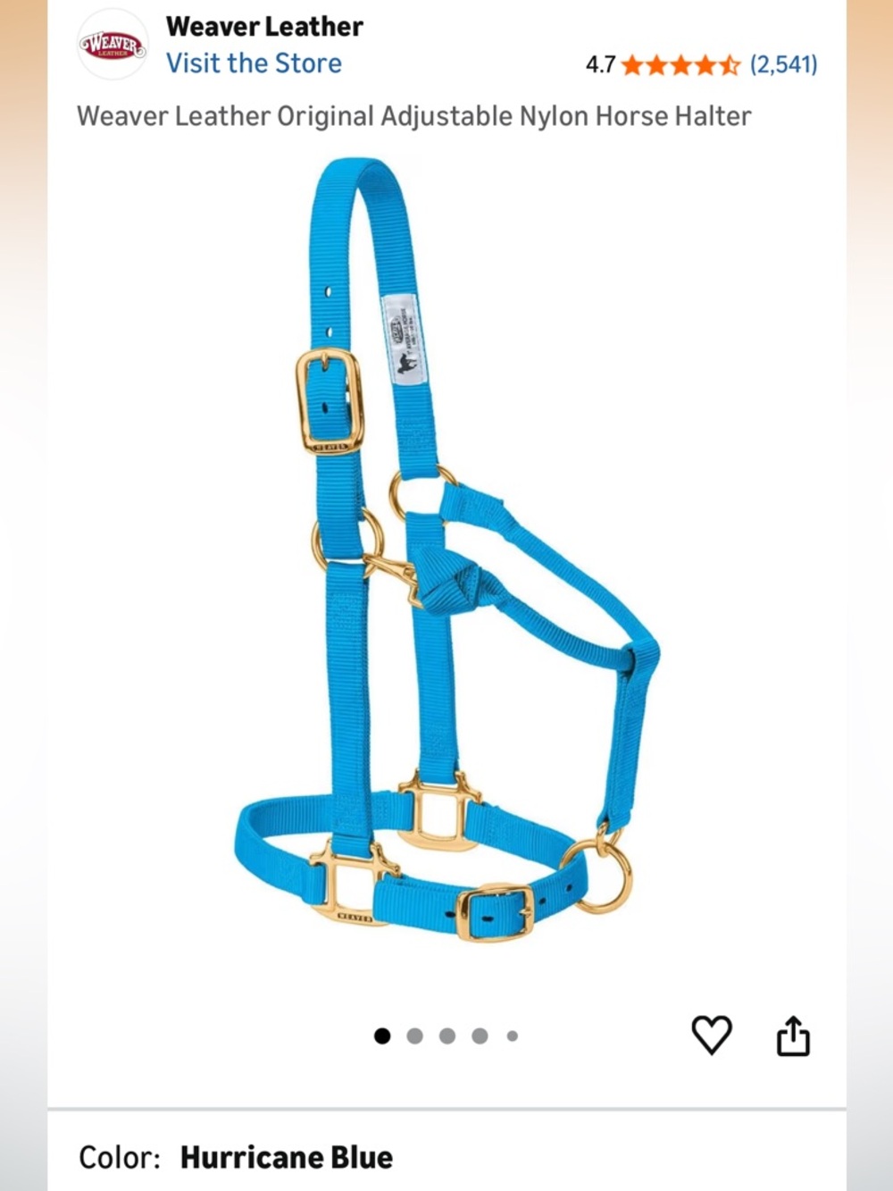 Weaver Leather Hurricane Blue Nylon Horse Halter 1” Yearling Size